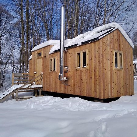 Celoroční GLAMPING v pohodlném domečku Vila Výprachtice Exterior foto