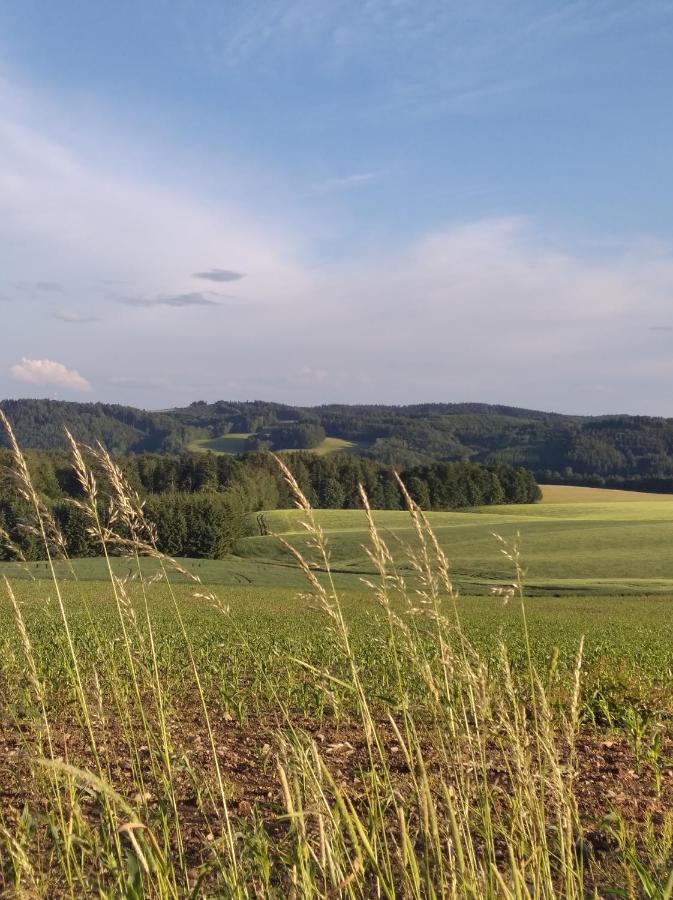 Celoroční GLAMPING v pohodlném domečku Vila Výprachtice Exterior foto