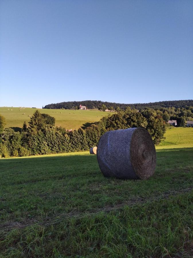 Celoroční GLAMPING v pohodlném domečku Vila Výprachtice Exterior foto